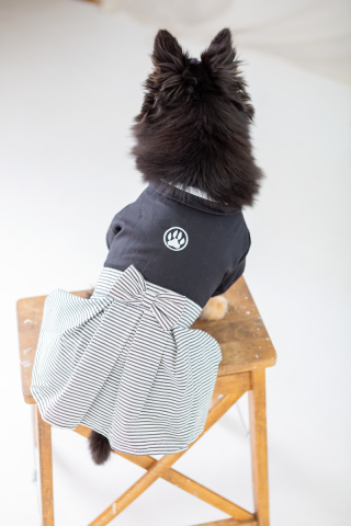 阿部写真館　大阪本町靭公園前店_アドバイス写真