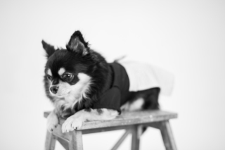 阿部写真館　大阪本町靭公園前店_アドバイス写真