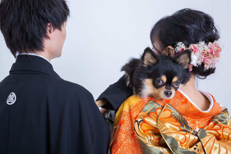 阿部写真館　大阪本町靭公園前店_投稿写真