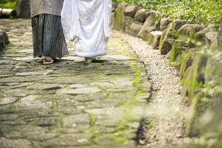 Vivid_アドバイス写真