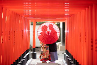 Vivid_アドバイス写真