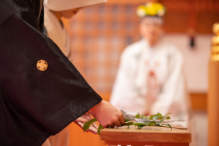 Vivid_アドバイス写真