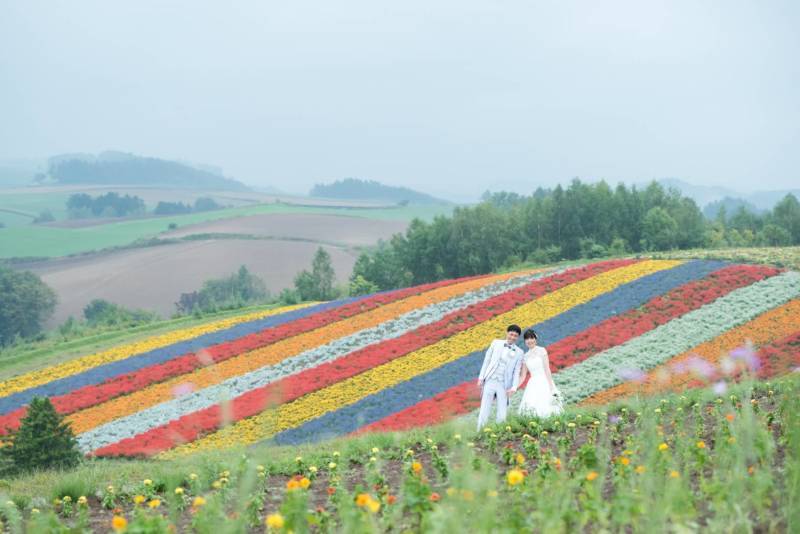 丘のうえ（Hills Studio）_投稿写真