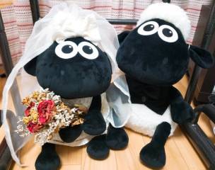 阿部写真館　大阪本町靭公園前店_アドバイス写真