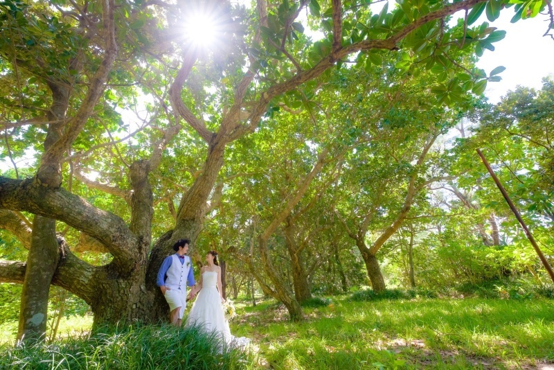 capryフォトウェディング石垣島（キャプリィフォトウェディング石垣島）_投稿写真