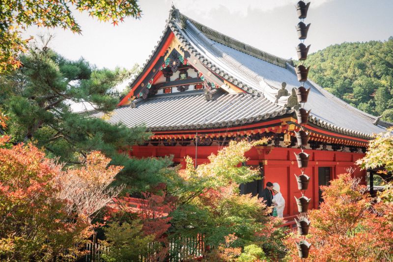 ハルウェディング_投稿写真