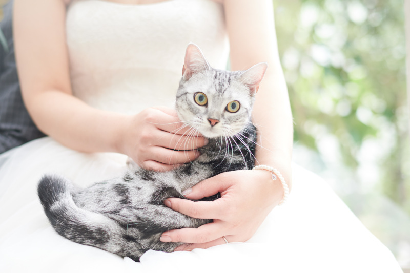 サロンドパルール　salon de parure_投稿写真