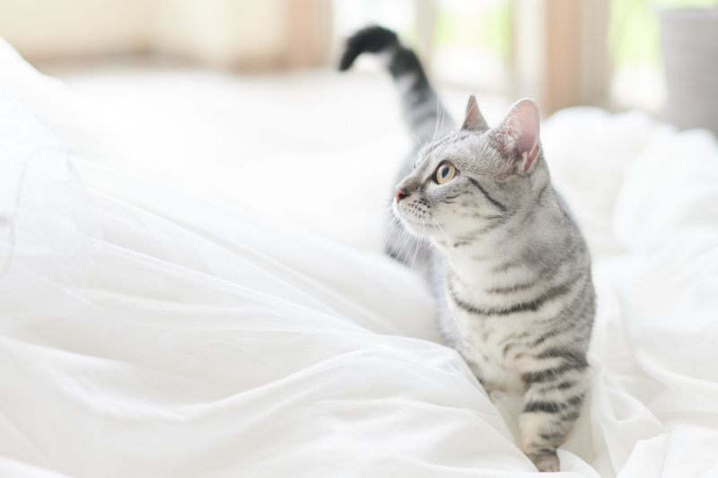 サロンドパルール　salon de parure_投稿写真