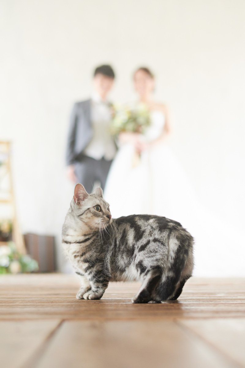 サロンドパルール　salon de parure_投稿写真