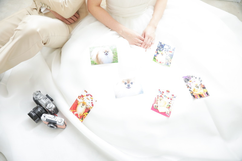 ワタベウェディング表参道フラッグシップフォトスタジオ_投稿写真