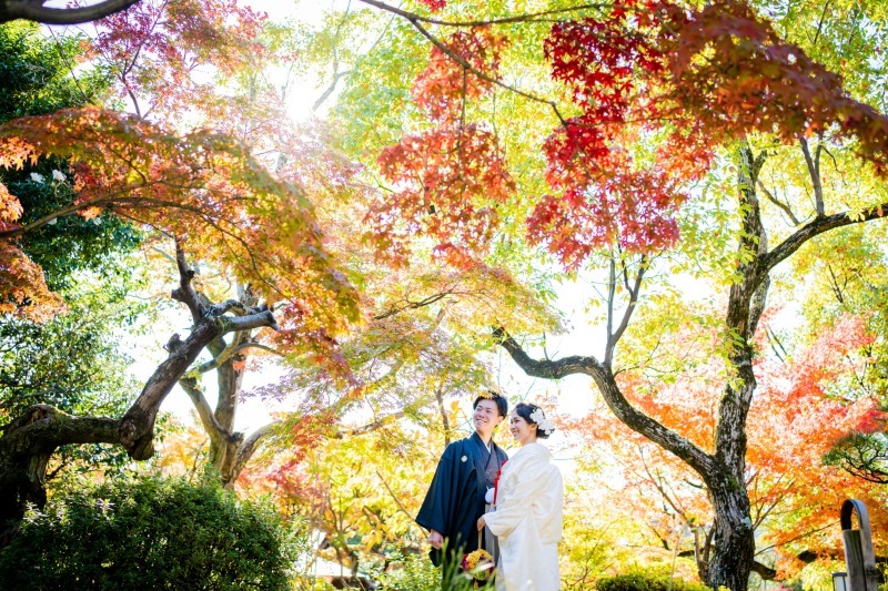 フォトスタジオ　ブライズメイド_投稿写真