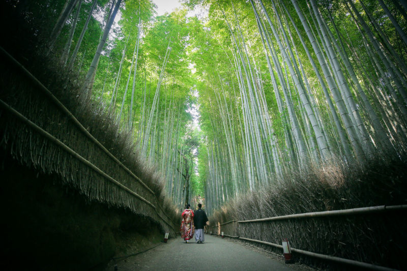 STUDIO TVB 京都店（スタジオTVB）_投稿写真