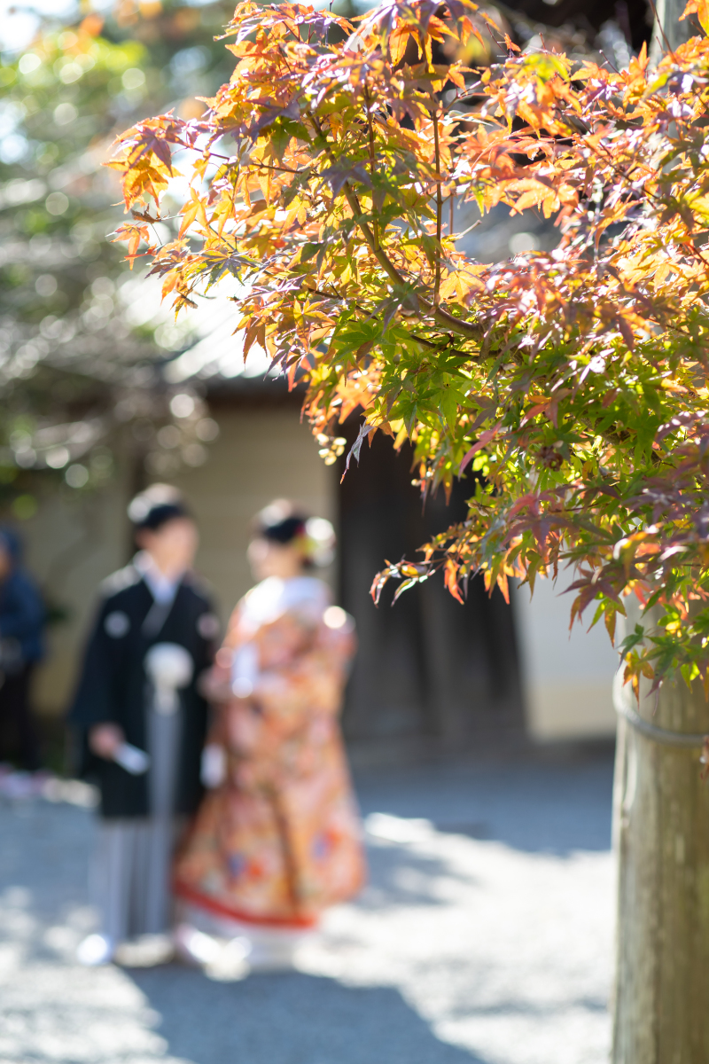 ハルウェディング_投稿写真