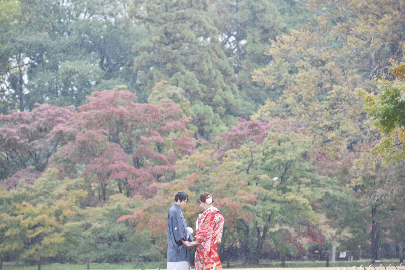 スタジオライト_投稿写真