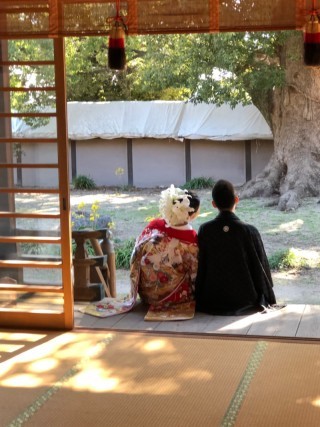 住吉大社吉祥殿_アドバイス写真