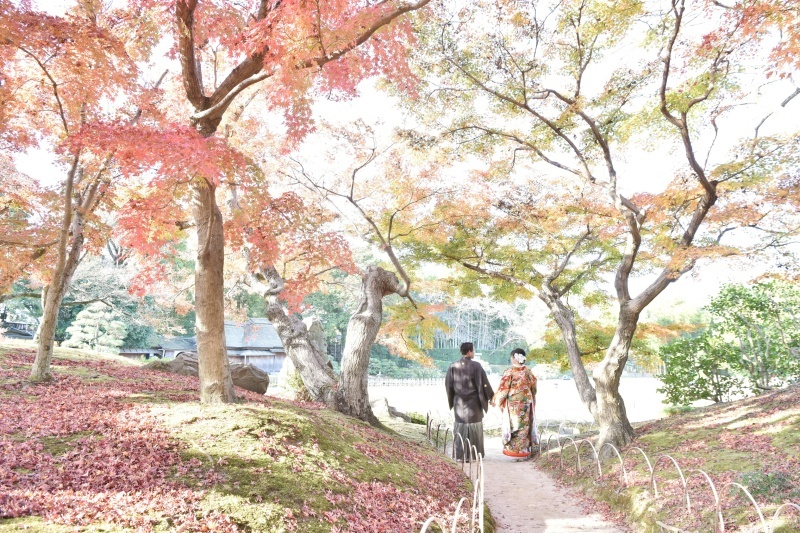 平日がオススメです_12728_投稿写真_1