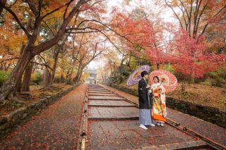 ハルウェディング_アドバイス写真