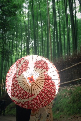 ハルウェディング_アドバイス写真