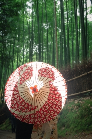 ハルウェディング_アドバイス写真