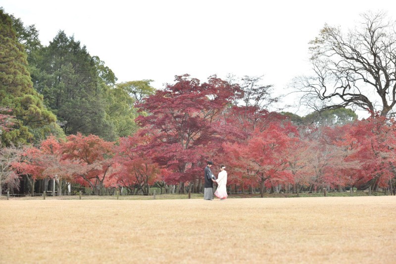 ロケーション撮影_12927_投稿写真_2