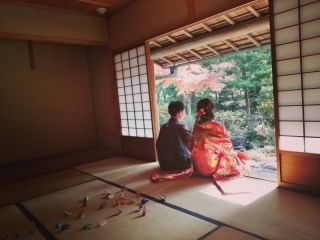 Vivid_アドバイス写真