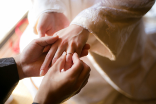 Vivid_アドバイス写真