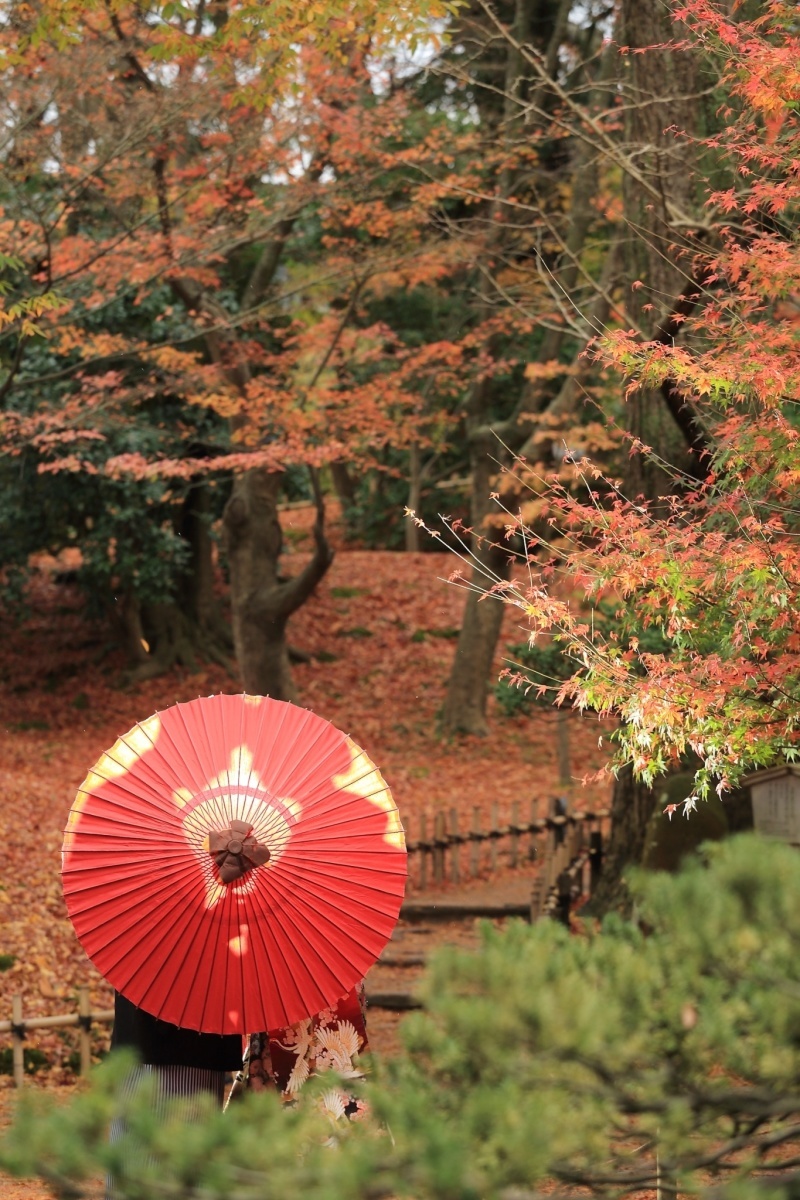 対応がとても良く、楽しく撮影出来ました！_12998_投稿写真_2