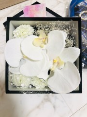 ル・トレフル produced by スタジオエス_アドバイス写真