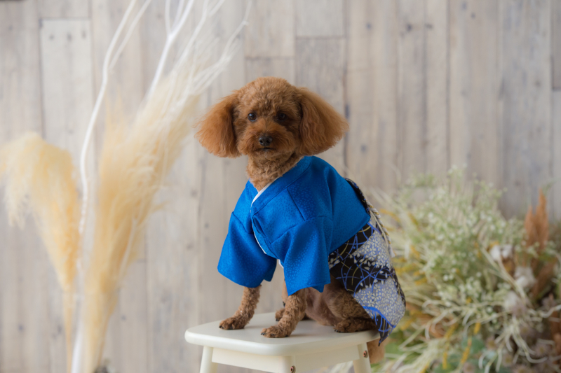 ル・トレフル produced by スタジオエス_投稿写真