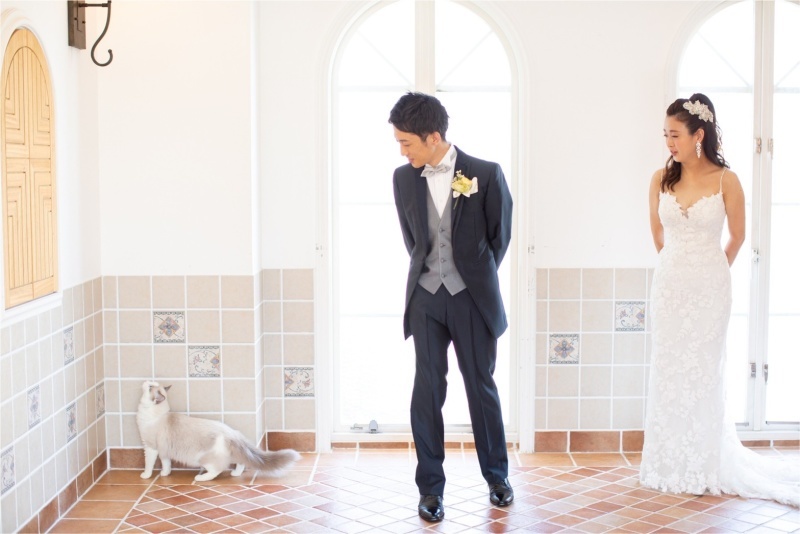写真だけの結婚式　ecoo（エクー）_投稿写真
