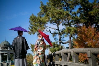 Vivid_アドバイス写真