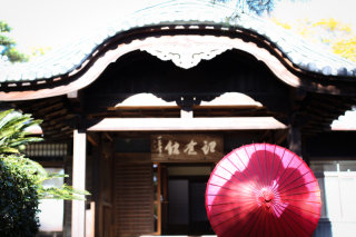 Vivid_アドバイス写真