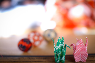 Vivid_アドバイス写真