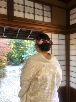 Vivid_アドバイス写真