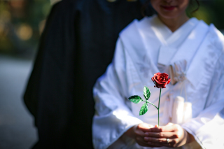 Vivid_アドバイス写真