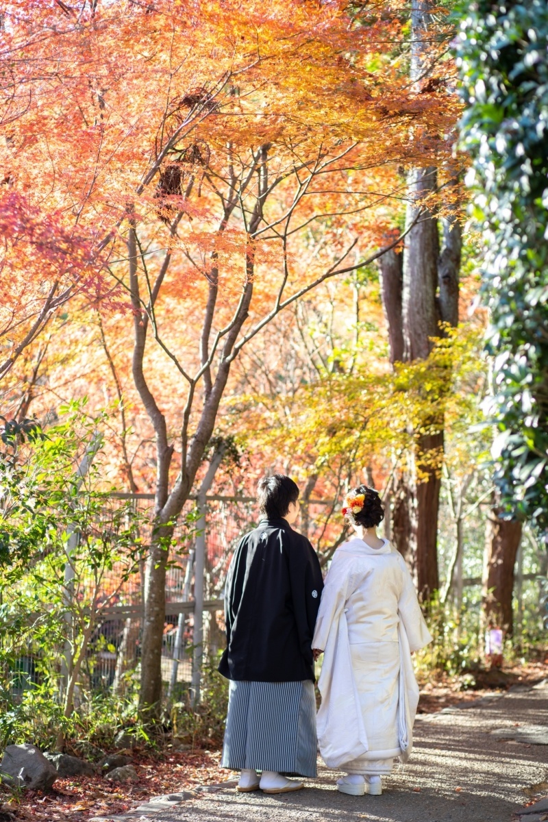 ハルウェディング_投稿写真