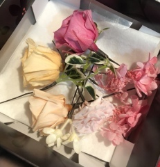 ETHOS photograph_アドバイス写真