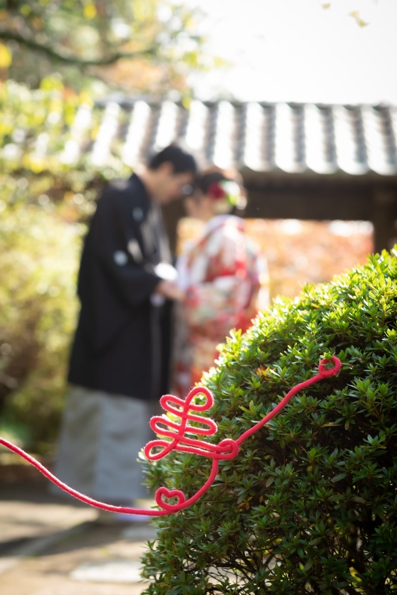 華雅苑　鎌倉店_投稿写真