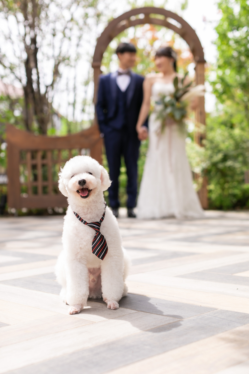 スタジオコンフェッティ_投稿写真