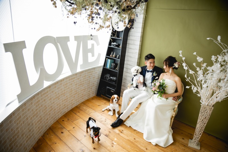 阿部写真館　大阪本町靭公園前店_投稿写真