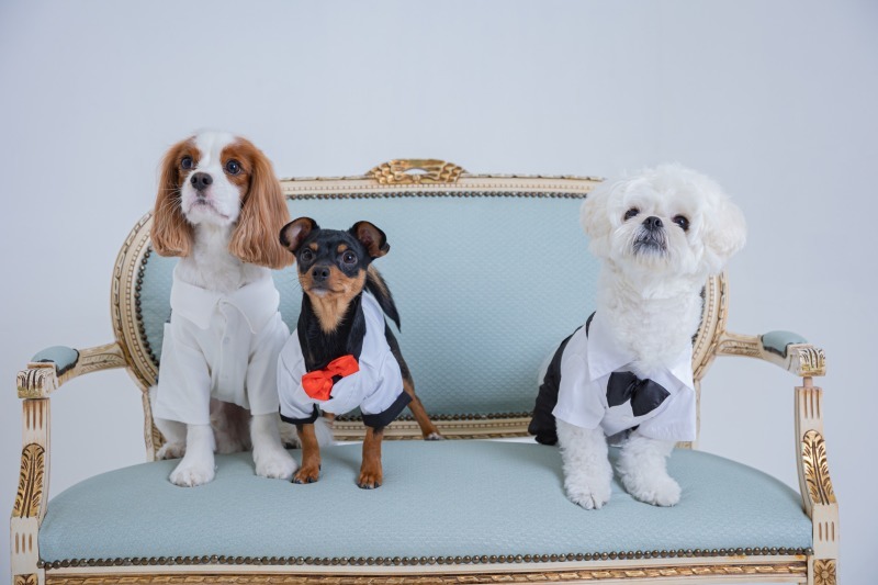 阿部写真館　大阪本町靭公園前店_投稿写真