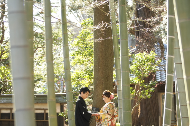 Yumi Katsura_投稿写真