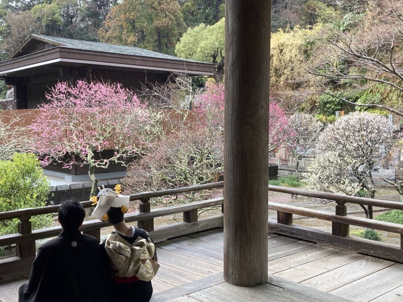 華雅苑　鎌倉店_投稿写真