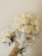 フォーカスワン【営業終了】_アドバイス写真