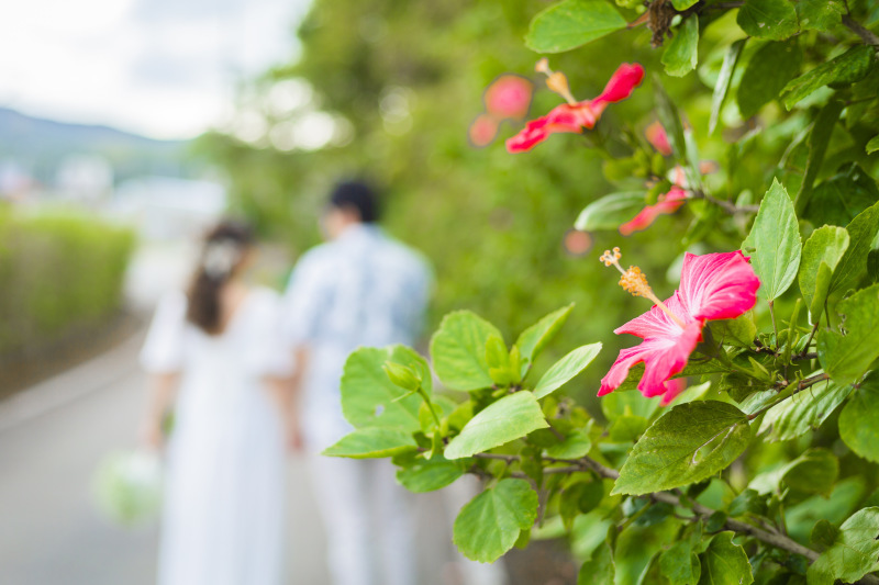スタッフの方々が親切でリラックスして楽しい撮影で大満足_14049_投稿写真_1