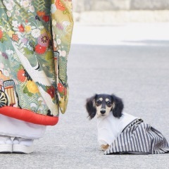 スタジオライト_アドバイス写真