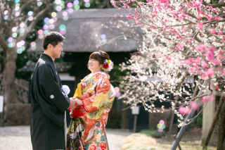 小貫写真館 Paseo nuevo水戸_アドバイス写真