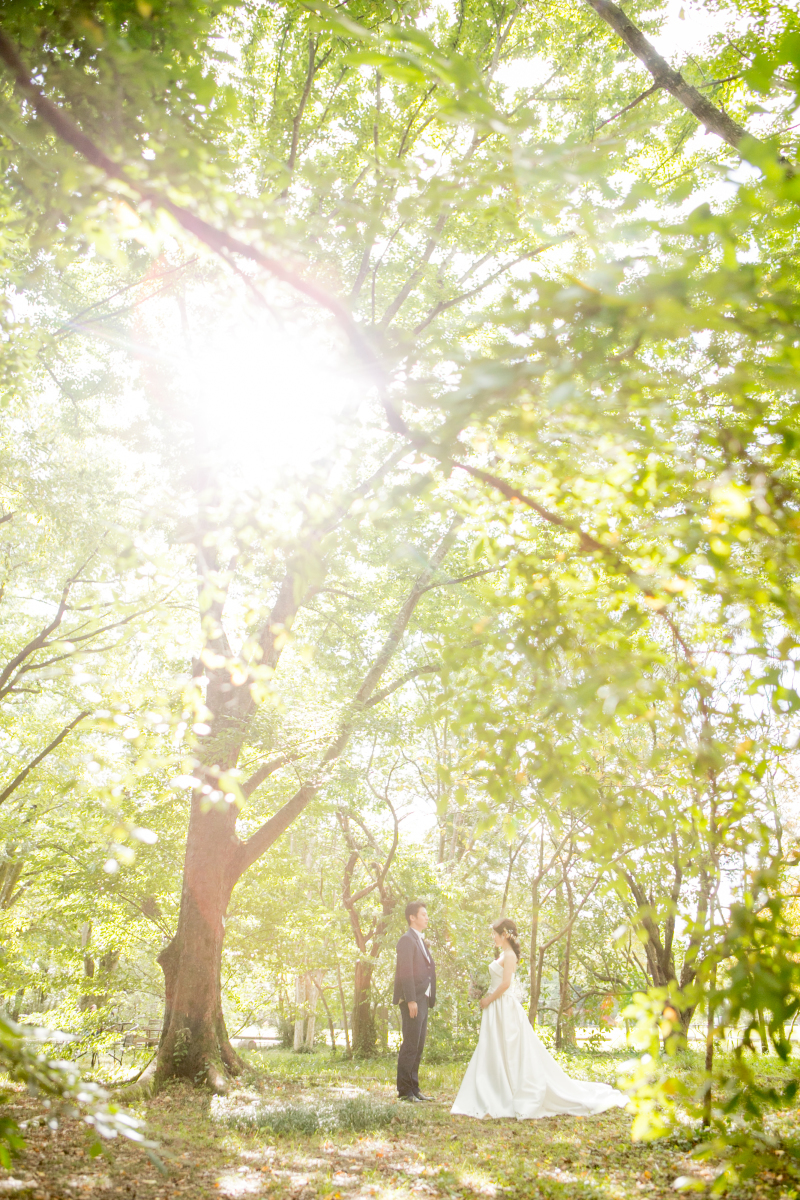 京都での和洋装フォト_14268_投稿写真_2