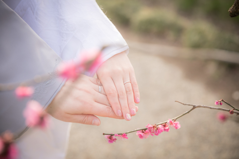 小貫写真館 Paseo nuevo水戸_投稿写真