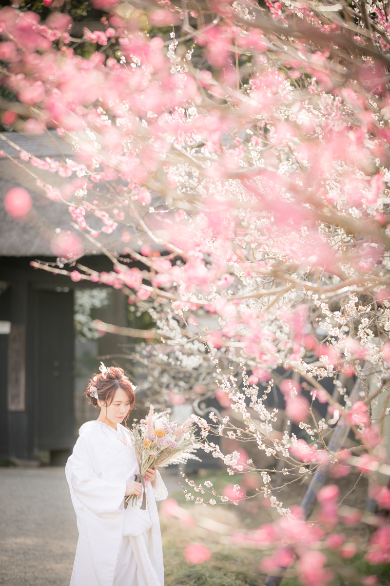 小貫写真館 Paseo nuevo水戸_投稿写真